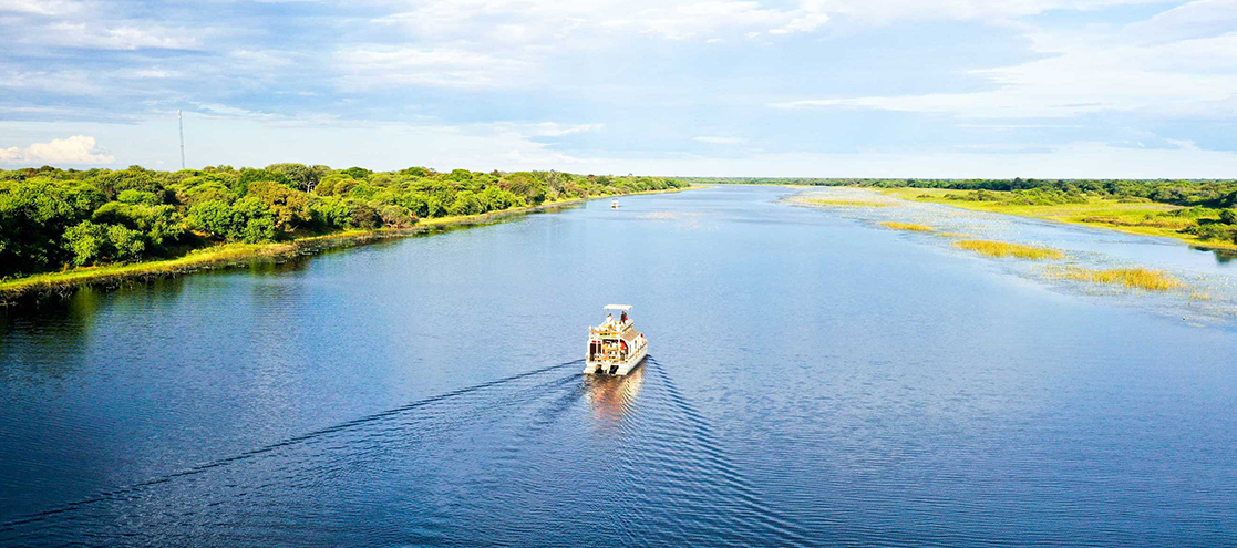 Maun